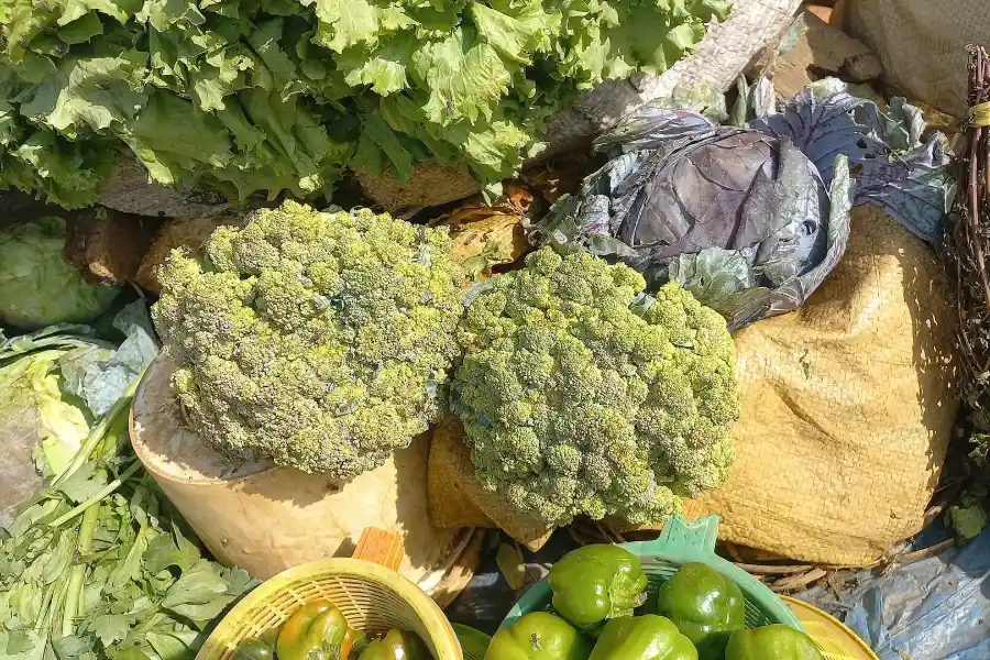 Bağışıklığı güçlendiren besinlerden brokoli