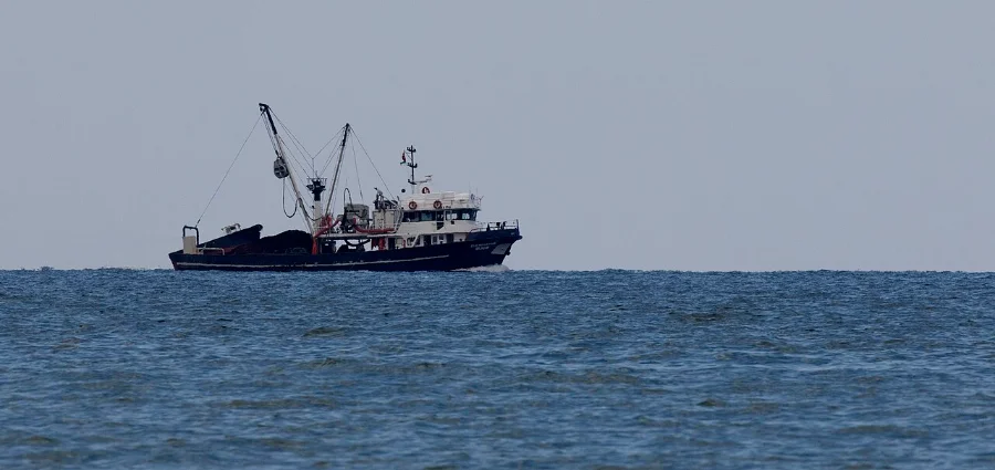 Karadeniz'de hamsi avına çıkan balıkçı teknesi