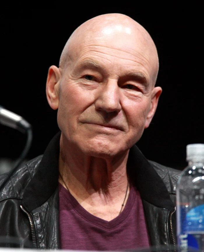 Patrick Stewart hayatını kaybetti, 2013 Comic-Con portresi